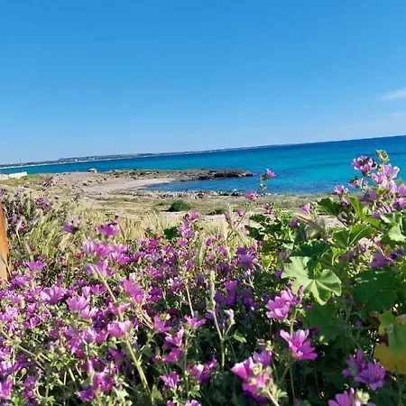 La Giara Art Bed and breakfast 3*