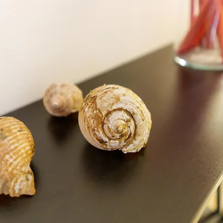 Bed and breakfast La Giara Art Gallipoli