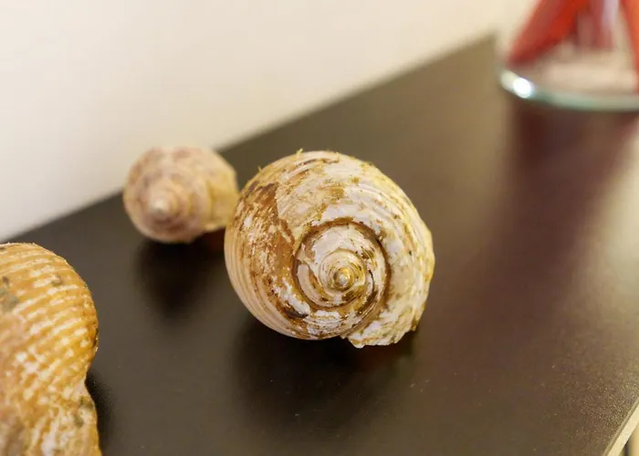 住宿加早餐酒店 La Giara Art 加利波利